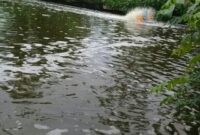 sumur bor untuk udang