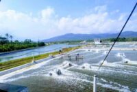 tambak intensive takalar