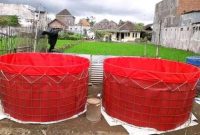 cara budidaya udang vename