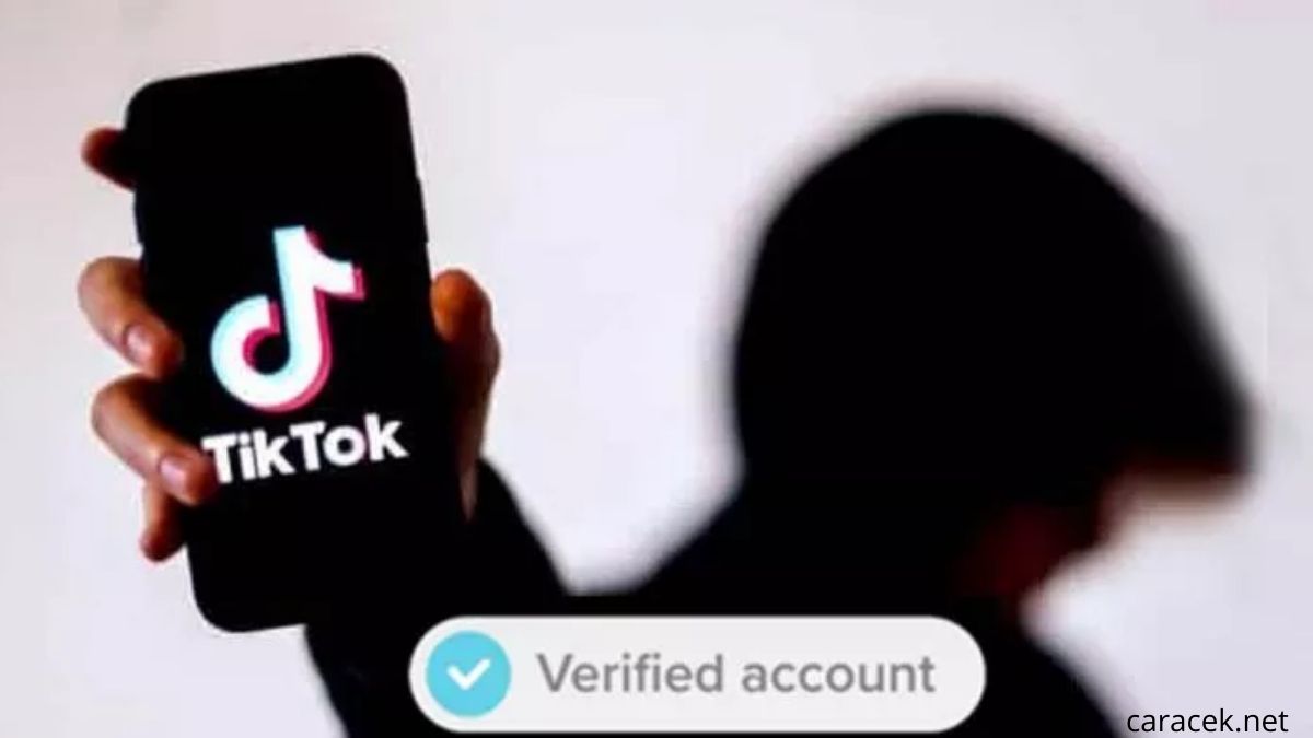 Cara Menggunakan TikTok Blue Tick Injector untuk Dapat Centang Biru Gratis