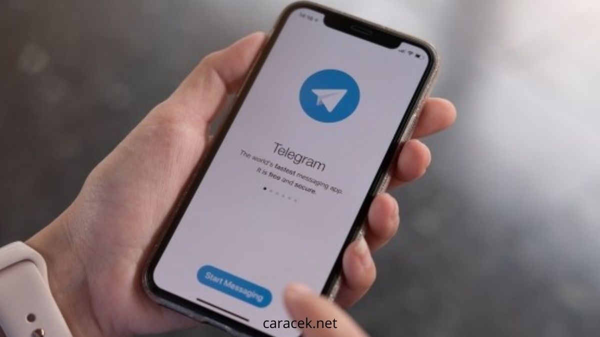 Cara Menggunakan Bot Cari Jodoh di Telegram dengan Mudah