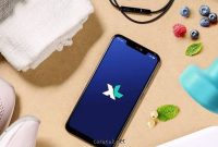 Cara Unreg Kartu XL Cara Unreg Kartu XL