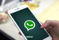 Cara Chat WA Tanpa Save Nomor