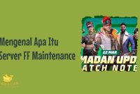 Server FF Maintenance