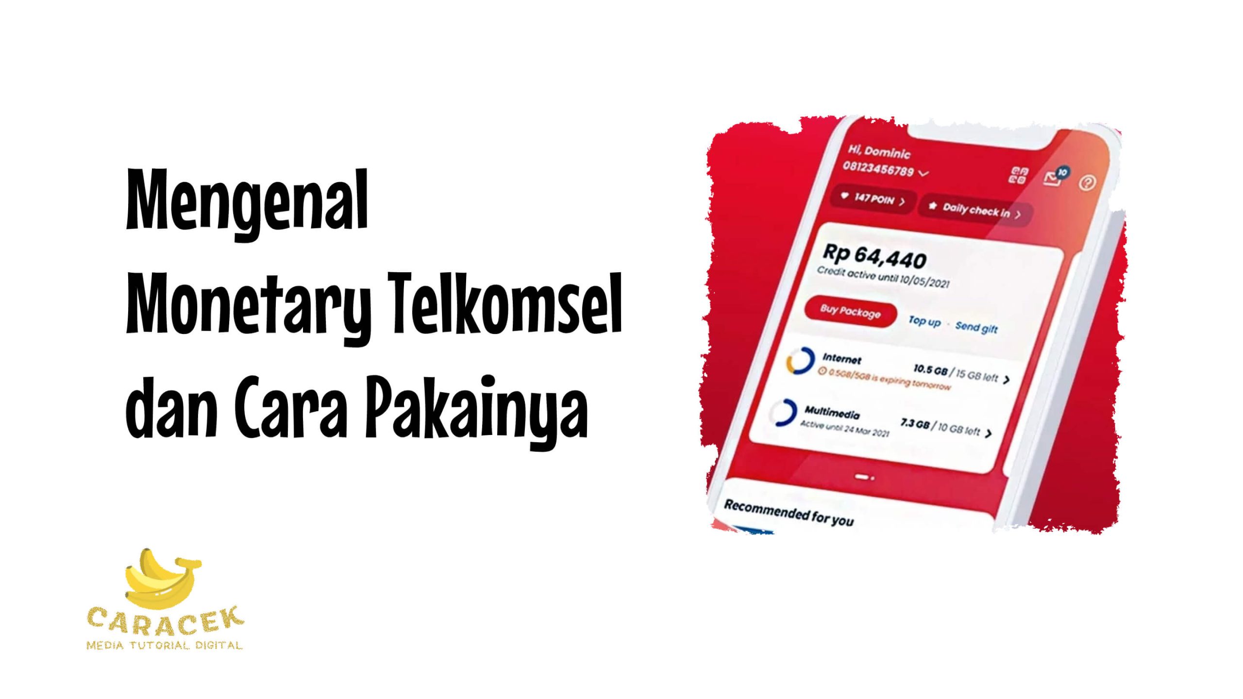 Monetary Telkomsel