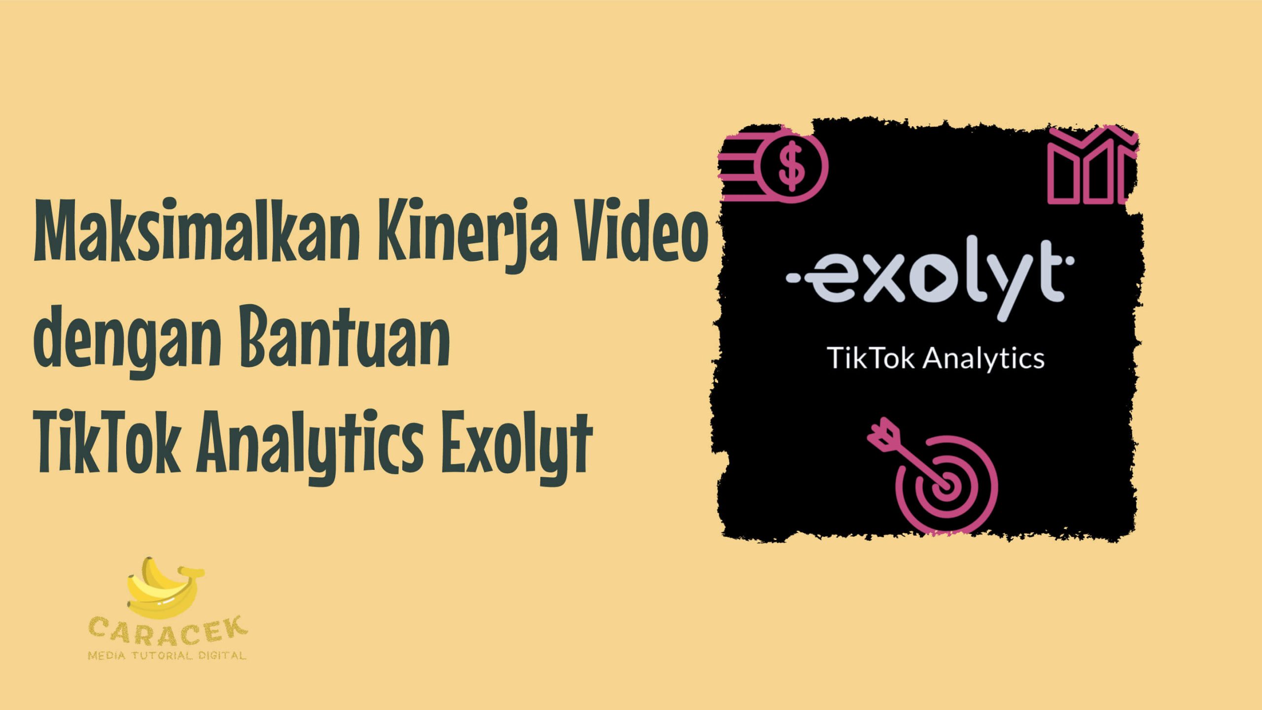 TikTok Analytics Exolyt