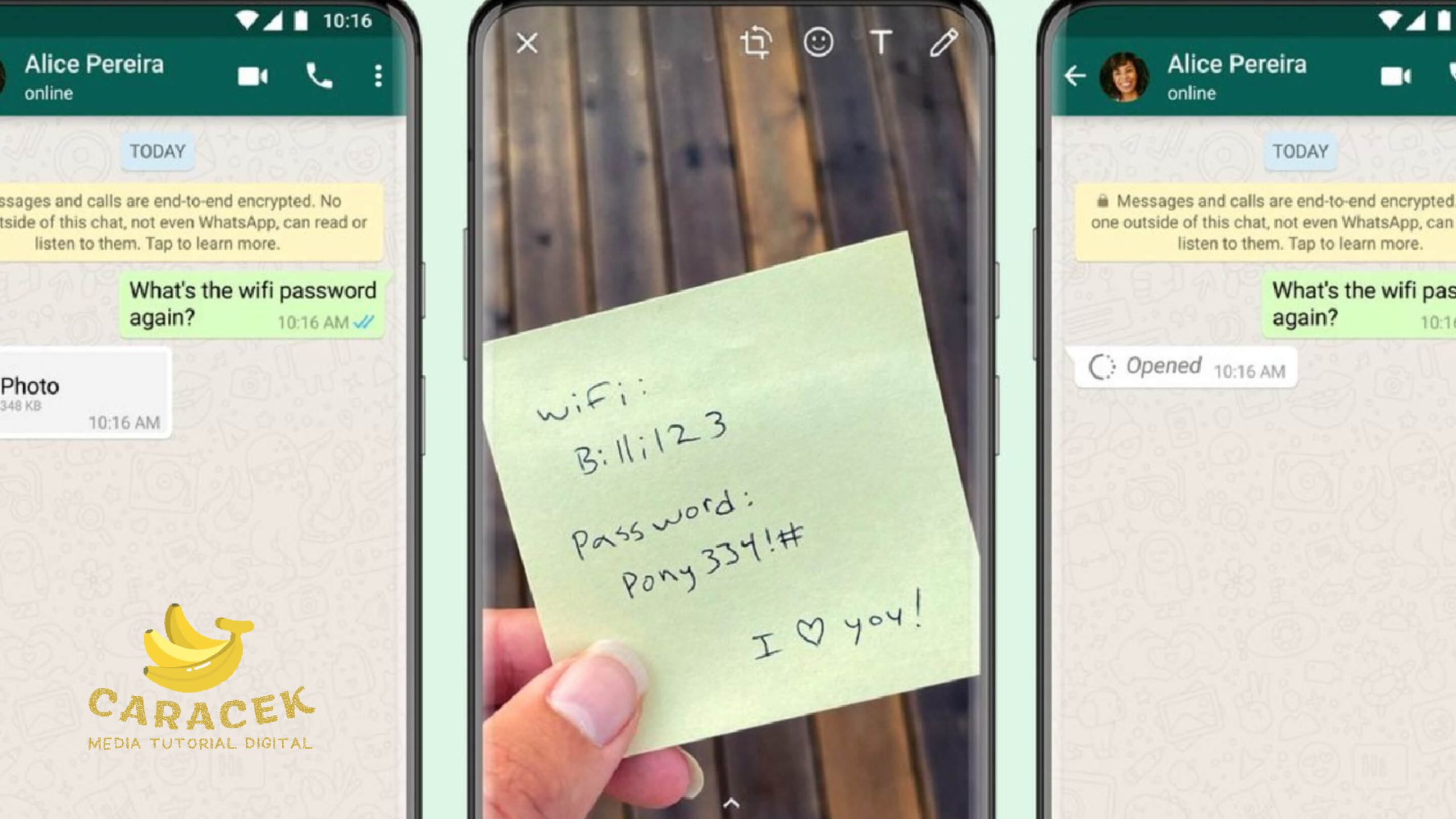 Cara Menggunakan View Once di WhatsApp
