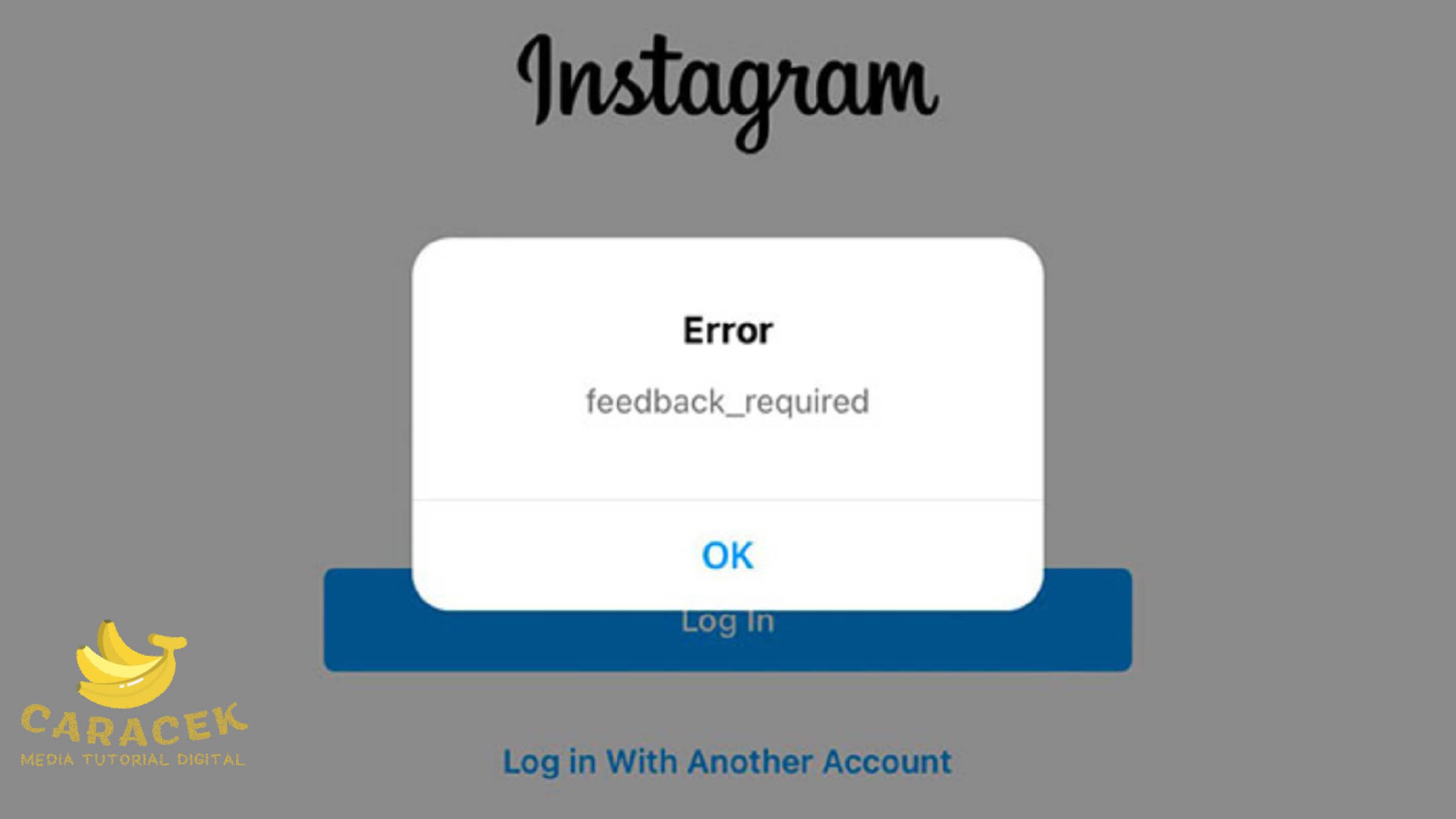 Feedback Required Instagram