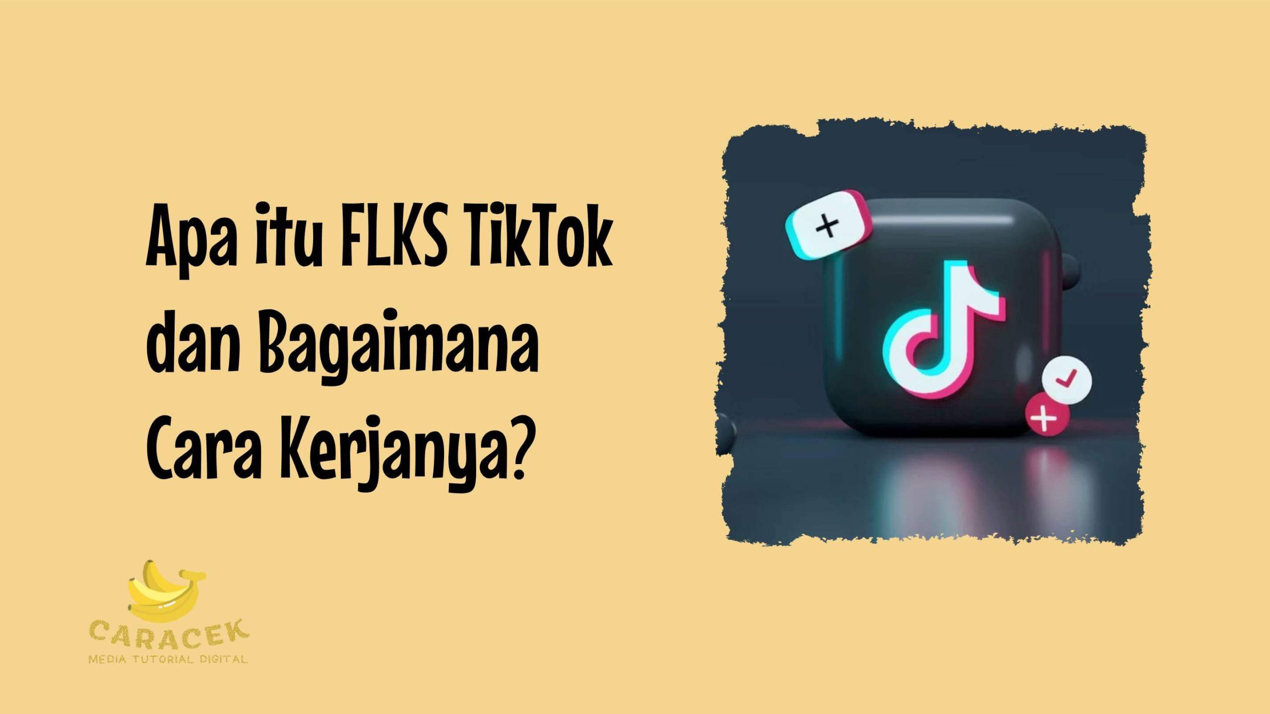 FLKS TikTok