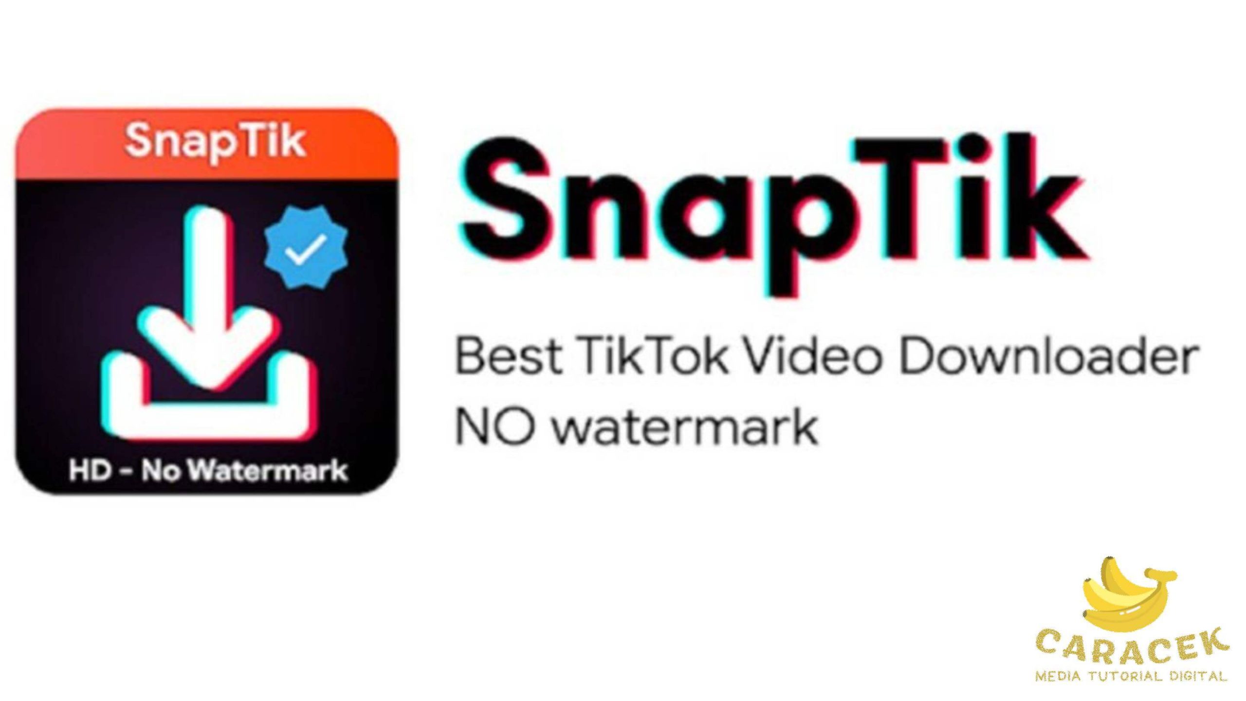 TikTok Downloader