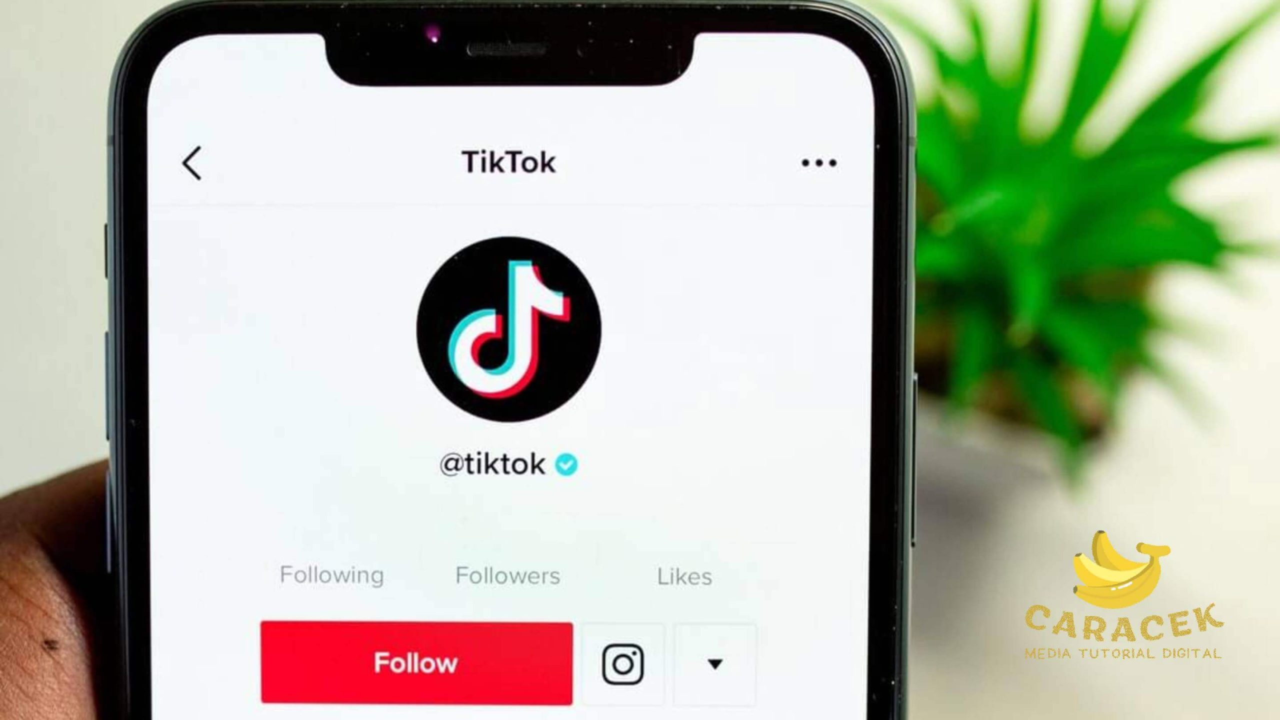 Cara Membuat 10 Fact About Me TikTok