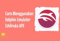 Dolphin Emulator Ishiiruka APK