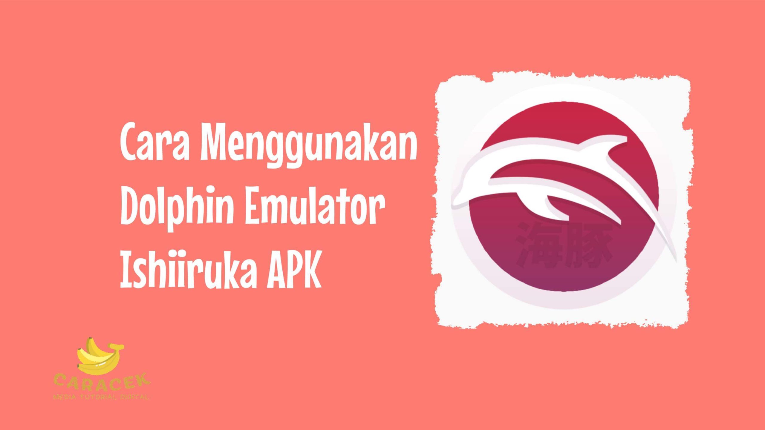 Dolphin Emulator Ishiiruka APK