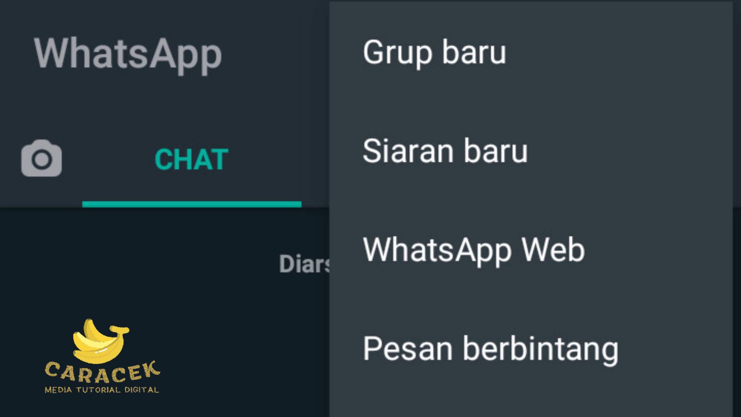 Cara Broadcast WhatsApp
