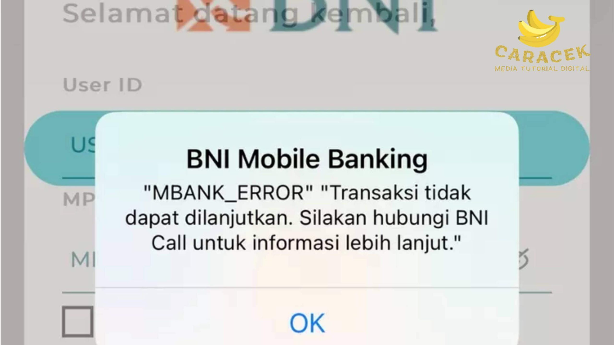 Cara Mengatasi BNI Mobile Error 2754