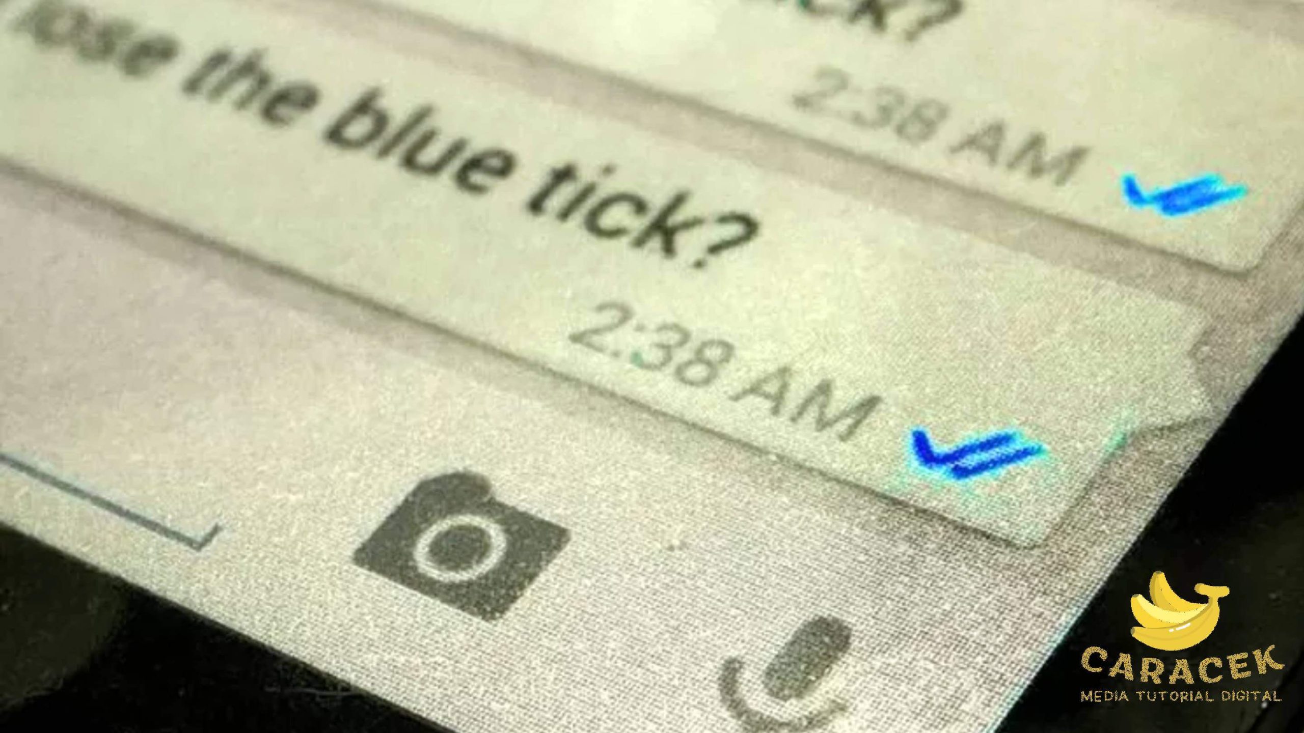 Cara Menyembunyikan Centang Biru di WhatsApp