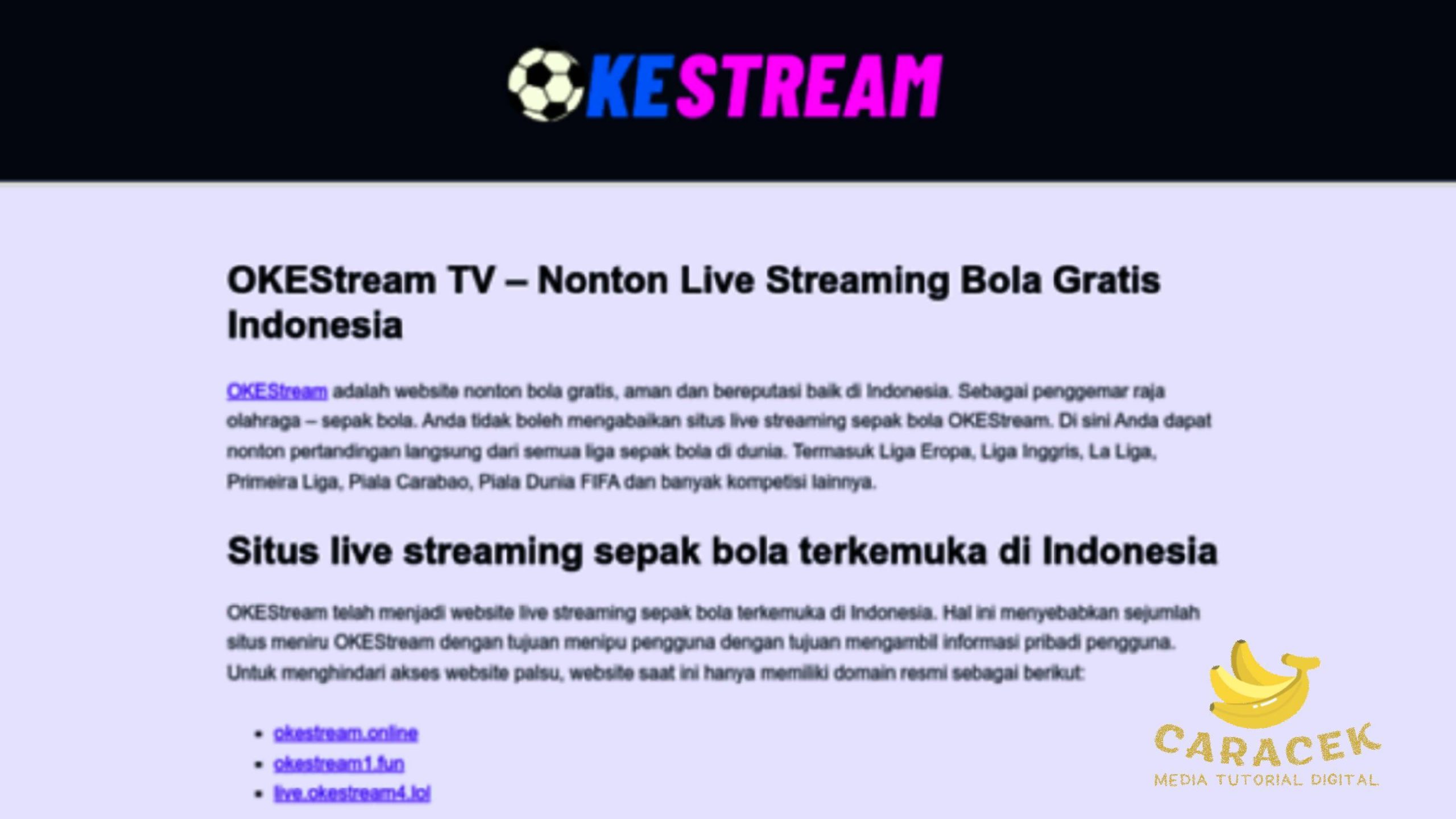 OKEStream TV APK