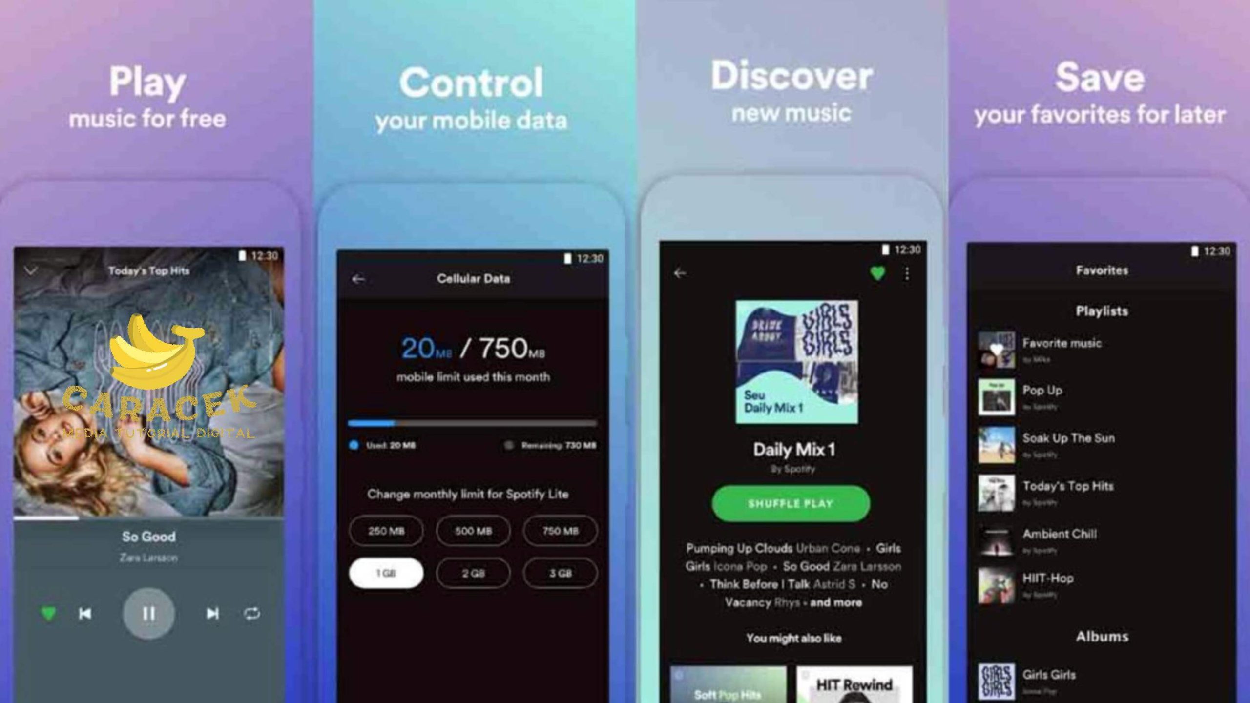 Spotify Lite APK