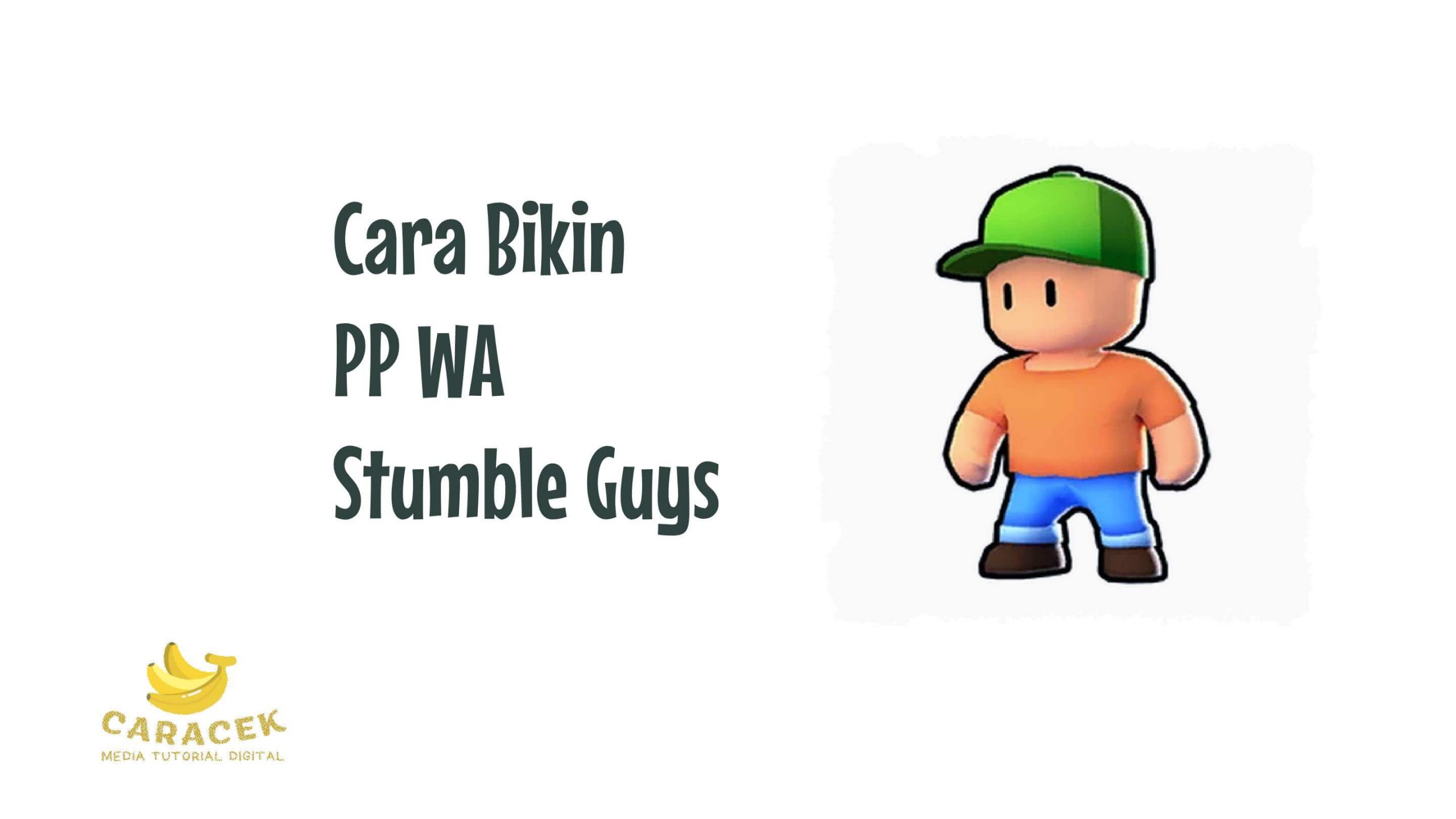 PP WA Stumble Guys