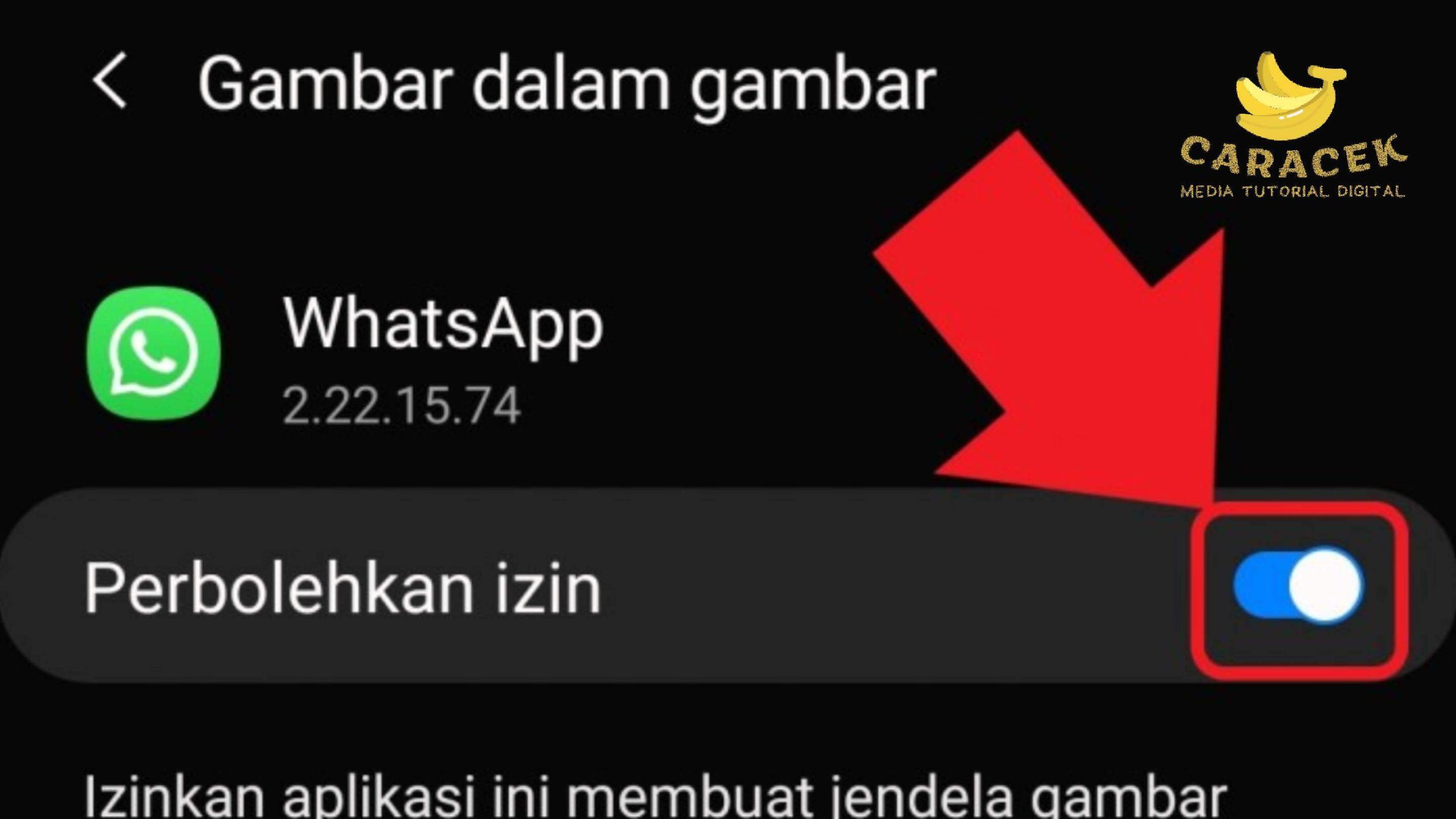 Cara Mengaktifkan PiP WhatsApp