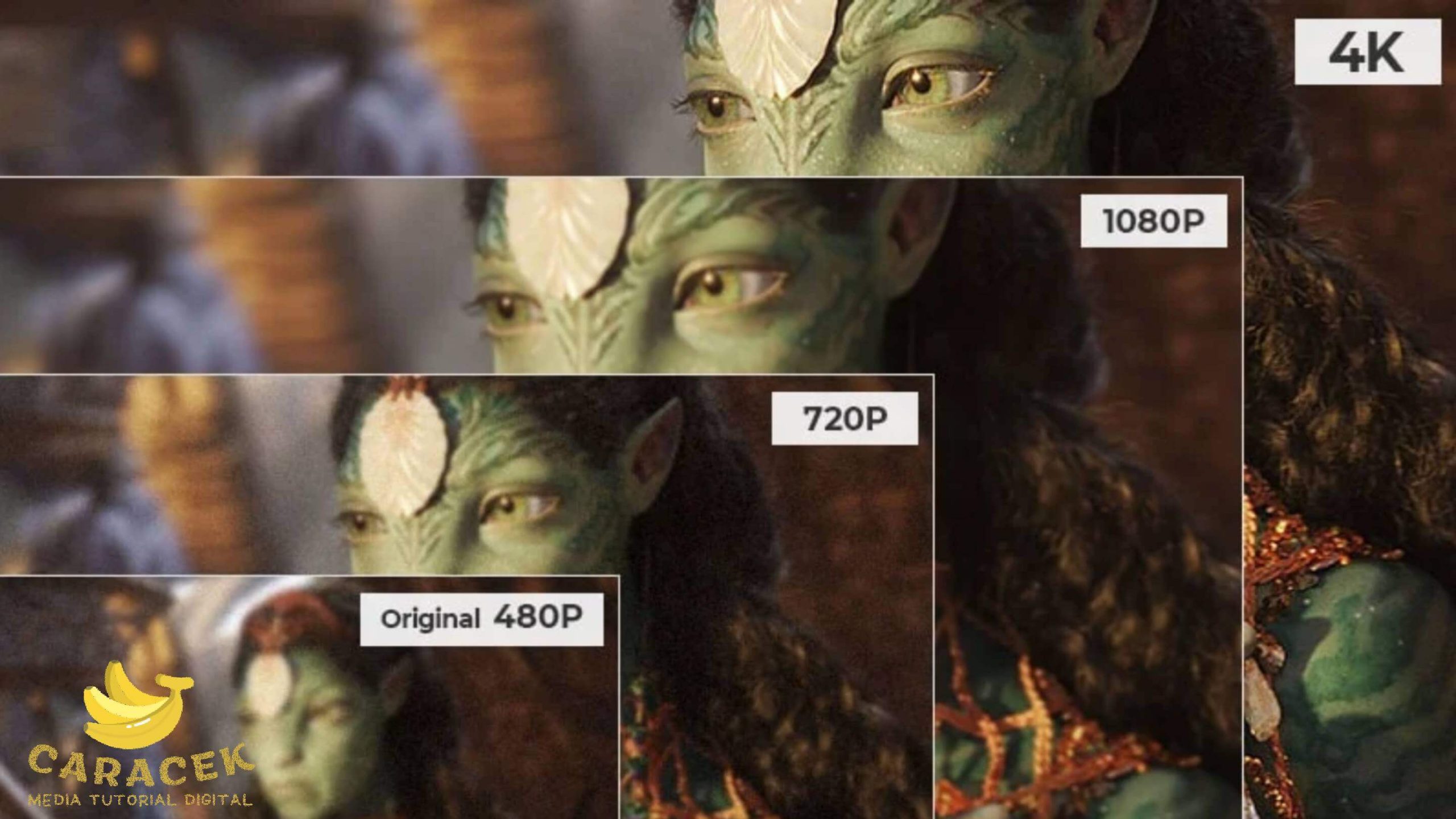 Urutan Kualitas Film di Situs Download